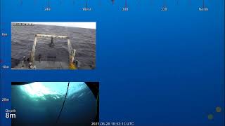 Celebrity ROV Dive 436 - US EEZ Seamount - South Side Profile