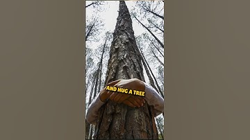 🌎 Why Grounding (Tree Hugging) is the Best Thing You Can Do #shorts