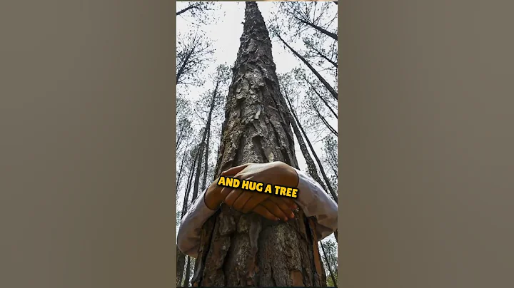 🌎 Why Grounding (Tree Hugging) is the Best Thing You Can Do #shorts
