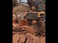 MEIXTO log grapple saw testing#grapple saw#log saw#tree cutting machine