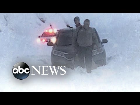 Couple survives being