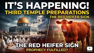 IT’S HAPPENING: Third Temple Preparations and the Red Heifer Sign
