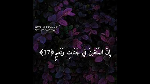 عمير شميم - سورة الطور || { إن المتقين في جنات ونعيم }