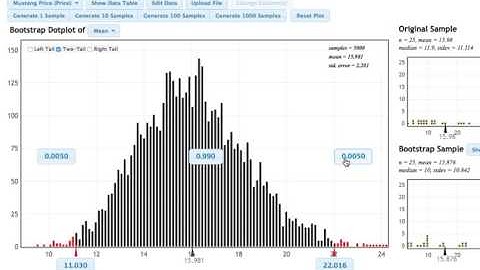 StatKey: Changing the Confidence Level (No sound)
