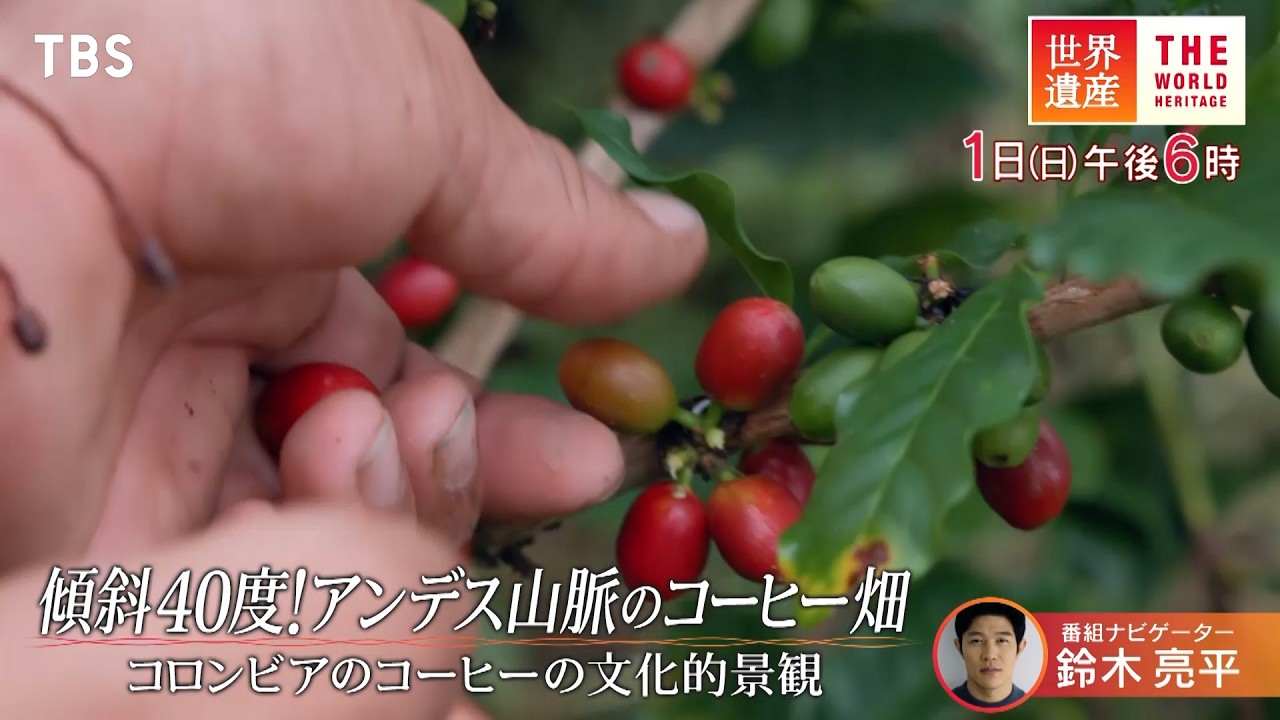 世界遺産』9/1(日) コロンビアのコーヒーの文化的景観 〜 傾斜40度