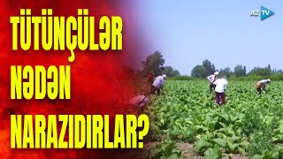 Fermerler çətinliklərini dilə gətirdilər: hansı problemlər var?