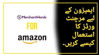 How to Use MerchantWords for Amazon