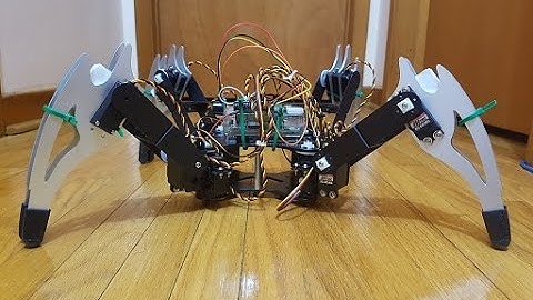 Raspberry Pi Quadruped Collision Detection