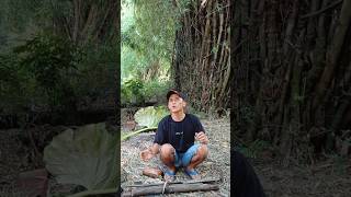 Viral bird master, make people laugh out loud funny videos entertainment +62 viral funny videos