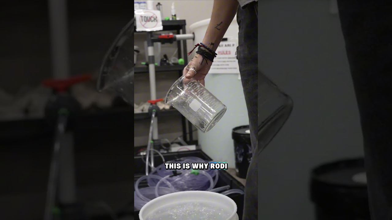 Pure Water Isn't Enough!