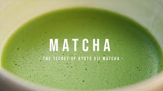 The Secret of MATCHA | KYOTO, JAPAN