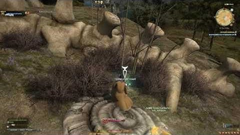 FFXIV: Arcanist Level 25 Quest