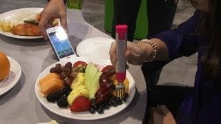 Consumer Electronics Show Ces 2013 In 60 Hapilabs Hapifork Help Slow Hungry Habits