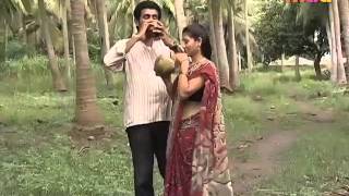 Telugu Artist Low Hip Saree & Navel