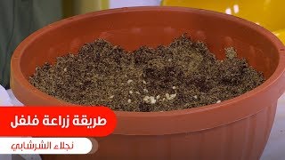 الحكاية... وفاة الاعلامي وائل الابراشي منذ قليل. وعمرو أديب قائلآ ستظل في قلوبنا