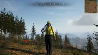 WILDLAND: Initial Attack 0.3.6