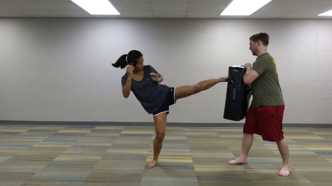 Basic Kicks (Front, Side, Roundhouse, and Back Kicks) YouTube