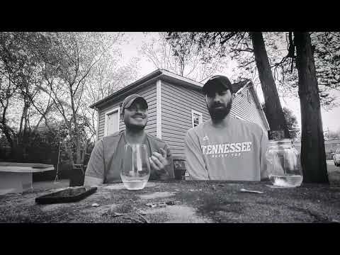 The Dan and Brad show