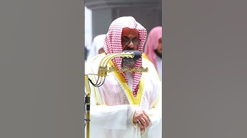 والله خلق كل دابة من ماء فمنهم من يمشي على بطنه تلاوة خاشعة تريح النفس لفضيلة الشيخ أ.د سعود الشريم🕋