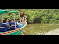 Mangrove Forest, Puducherry 