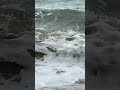 Slow Motion Waves #waves #slowmotion #australia #beach #beachlife #slowmotionwaves #ocean