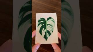 Mini gouache painting .Monstera leaf 🍃 #gouache #tinypainting #gouachepainting #himigouache