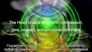 The Arrivals Pt 46 The Complete Human Bg