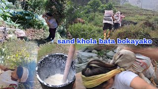 balwa bokayako khola bata 2hours lakna bato bata explore village life 🤕😇