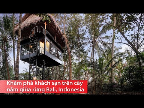 Video: Bản vẽ 3D gốc do các nghệ sĩ New Zealand thực hiện trên cát