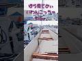 [激撮ドラレコ24時#526]#じいじvsニキ🤬👊👎🖕💩