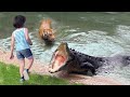 Crocodile grabbed a girl and dragged her into the water. No one could imagine what would happen next