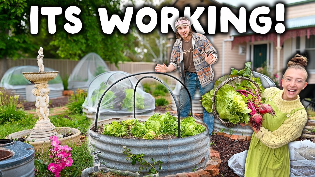 What's Growing in my 