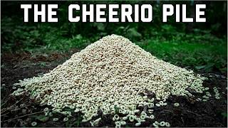 We Left a GIANT PILE OF CHEERIOS in the Woods. Here's what happened! Trail Camera: The Cheerio Pile