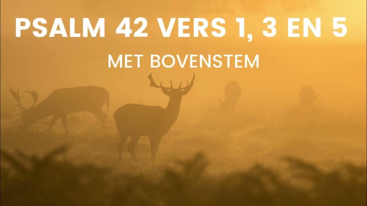 psalm-42-vers-1-3-en-5-met-bovenstem-t-hijgend-hert-der-jacht
