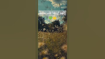 القرآن الكريم/ تلاوة خاشعة #القرآن_الكريم #quran #راحة_نفسية