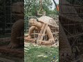 “Building a Giant Turtle House 🏡 #zoo