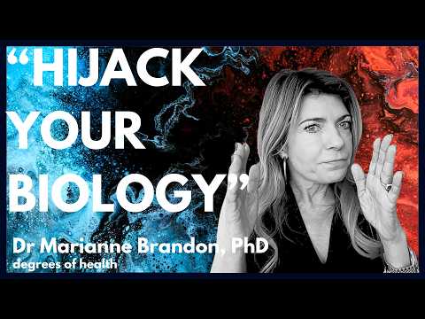 Dr Marianne Brandon, PhD | Why We’re Having Less Sex - The Latest Scoop on Intimacy, Desire and Tech