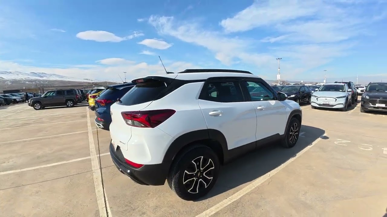 Авто из Грузии. Кавказус. 31.01.26 