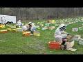 Behind the Scenes at Betterbee: Unloading Nucs