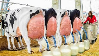 Unbelievable Women Transforming Dairy Farm with Mighty Agro Machines - Live Action