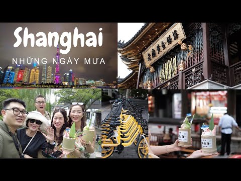 #2023 Lần đầu du lịch Trung Quốc #1: Thượng Hải ngày mưa – Vietravel Tour