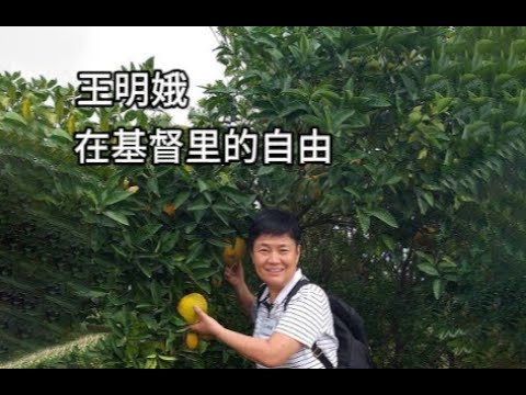 王明娥-你是兒子還是雇工