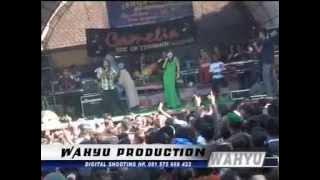 camelia - caping gunung - ayu lestari live bakaran
