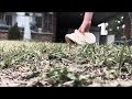 Heckview Burns | official trailer 