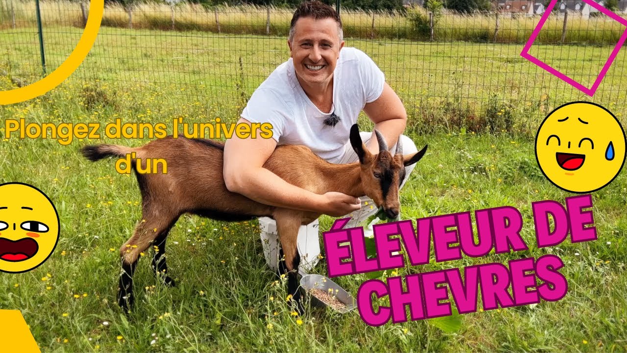 Il quitte tout pour élever des chèvres !