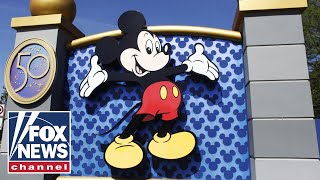Disney attempted to bring ‘California values’ to Florida: FL state rep.