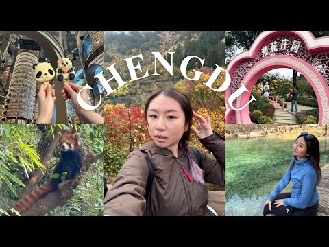 chengdu 成都vlog 🇨🇳 panda, jiuzhaigou, huanglong, flower manor, local snacks | Kelly T.