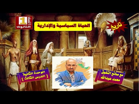 فيديو: فرسان في المطبخ. الجزء 2