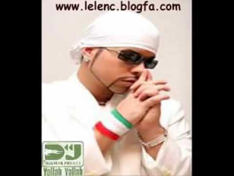 دی جی علی گیتور