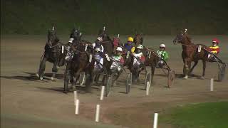 Vidéo de la course PMU CHAMPIONNAT D'HIVER (REVANCHE)